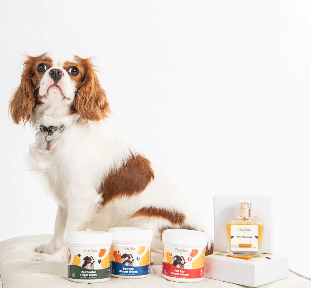 The full Pa & Paws range lined up beside a Cavalier King Charles Spaniel, white studio background.
